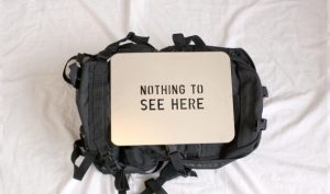 Amerykańscy celnicy