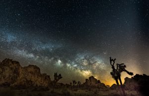 Park-Joshua-Tree- Kalifornia