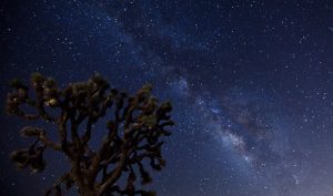 parki narodowe w usa