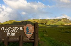Park Yellowstone w USA