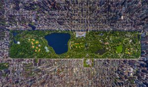 panorama nowego jorku