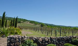 Kalifornia Napa Valley