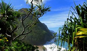 Hawaje - widok plaży