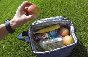 poradnik dla podróżujących po USA