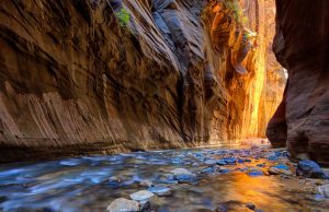 Park-Narodowy-Zion-Szlak-Narrows-