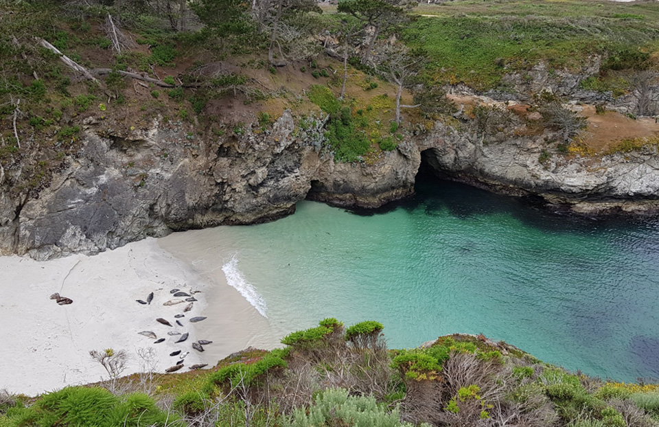 Kalifornia-Point-Lobos
