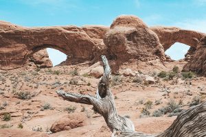 Park narodowy Łuków Skalnych w USA