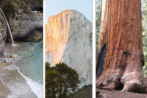 Co Zobaczyć: Kalifornii