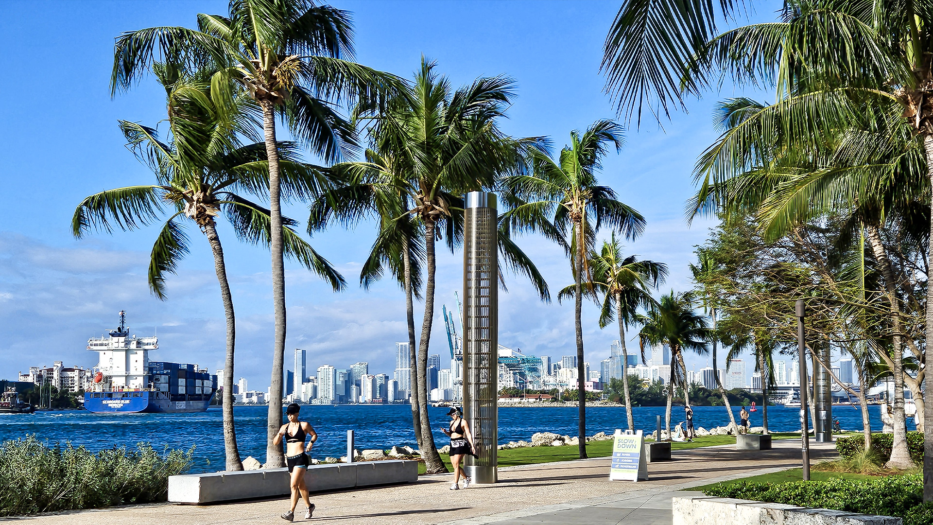 Widok na Miami -w grudniu